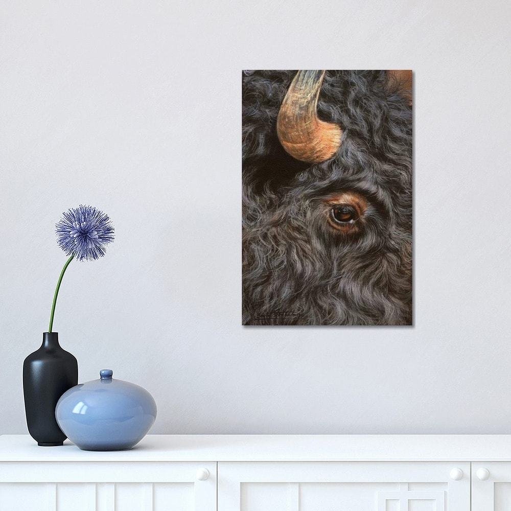 iCanvas "Bison Close-Up" by David Stribbling Canvas Print