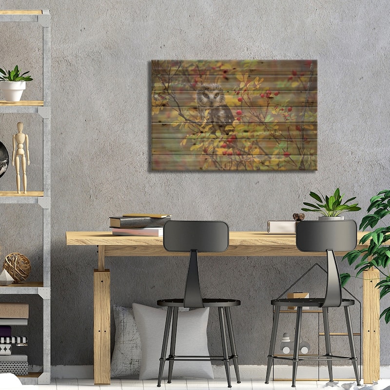 Northern Saw-Whet Owl Perching In A Wild Rose Bush, British Columbia, Canada II Print On Wood by Tim Fitzharris - Multi-Color