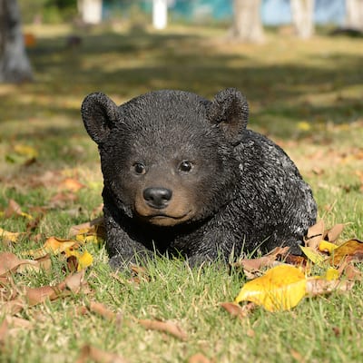 Baby Black Bear Crawling