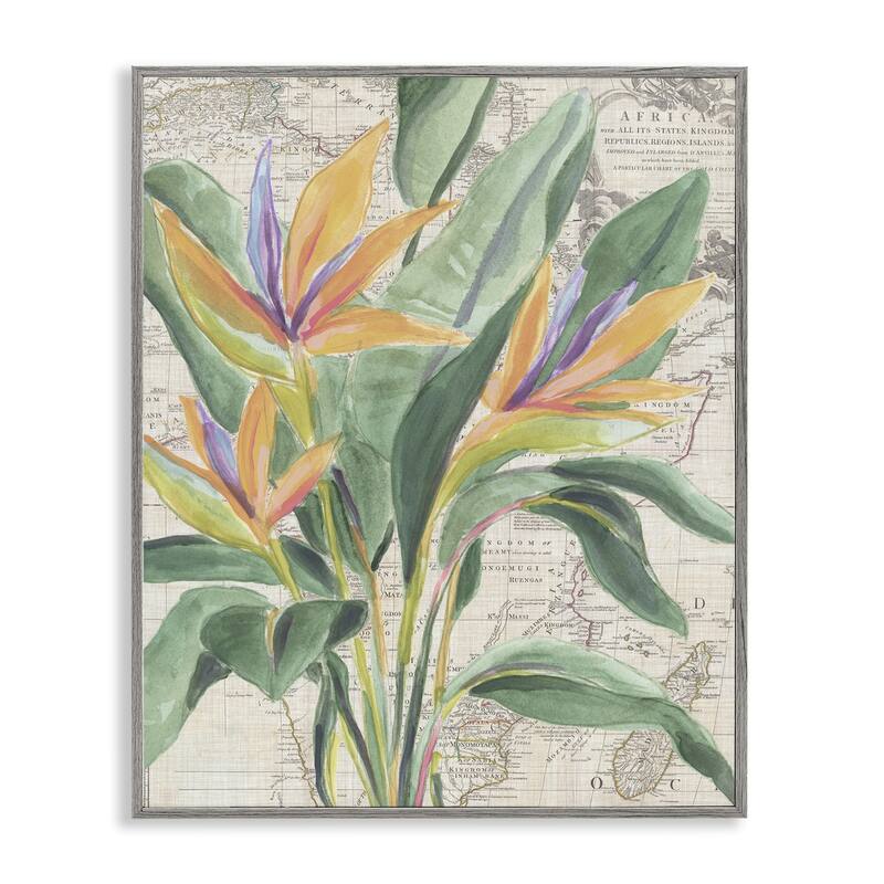 Stupell Bird of Paradise over Map Framed Giclee Art Design By June Erica Vess - 11 x 14 - Grey
