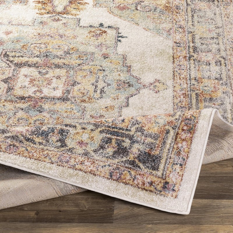 Livabliss New Mexico Updated Traditional Medallion Area Rug