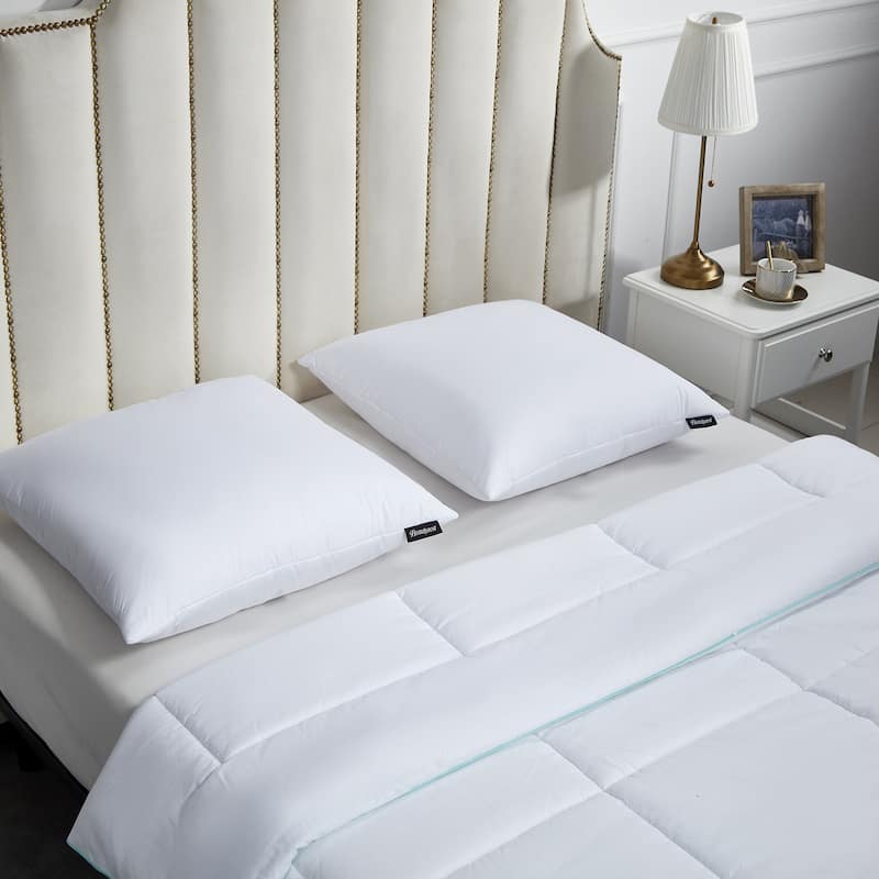 Beautyrest Softy Around European Square 26 x 26 Inch Feather and Down Pillows (Set of 2) - White