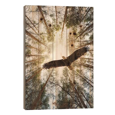 Master Of Heaven Bold Eagle Print On Wood by Nik Rave - Multi-Color