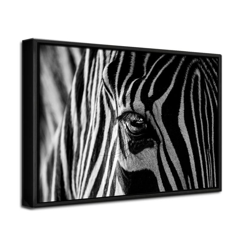 'Abstract Zebra' Framed Print Wall Art by Roy Darnell Bed Bath