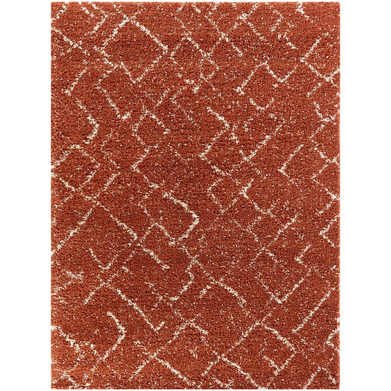 Albini Abstract Shag Area Rug
