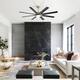 Option Black,Brushed Nickel