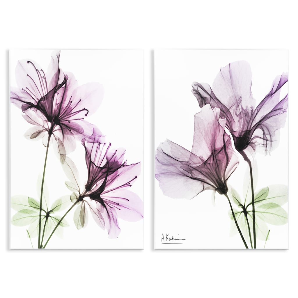 Stupell Purple Flower Bloom Design 2pc Multi Piece Wood Wall Art Set