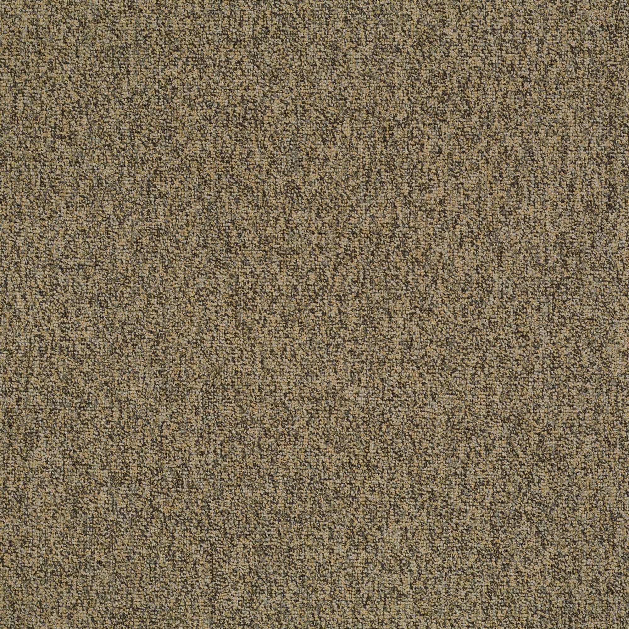 Shaw Philadelphia Commercial Multiplicity Tile 24" x 24" Glue Down