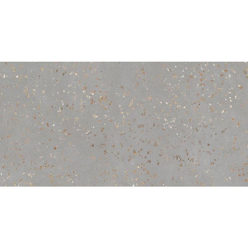 Apollo tile 24" x 48" Terra Mia Polished Warm Gray with Gold Flecks Porcelain Tile (15.49 sq ft/case) - 2 Pack