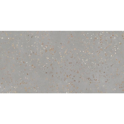 Apollo tile 24" x 48" Terra Mia Polished Warm Gray with Gold Flecks Porcelain Tile (15.49 sq ft/case) - 2 Pack