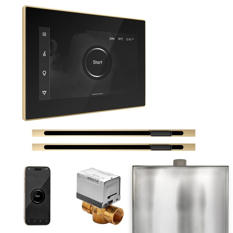 Mr Steam BXXL Xbutler Max Linear Package Steam Shower Control Package - Black / Polished Brass