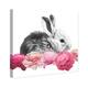 Oliver Gal 'Bunny and Peonies' Animals Wall Art Canvas Print Farm ...