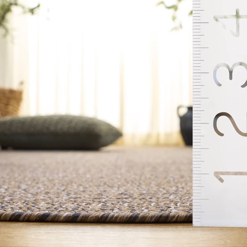 SAFAVIEH Handmade Braided Thijs Reversible Rug