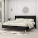 Option Black