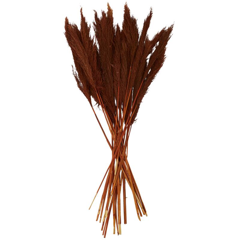 Copper Dried Plant Pampas Home Decor Natural Foliage with Long Stems
