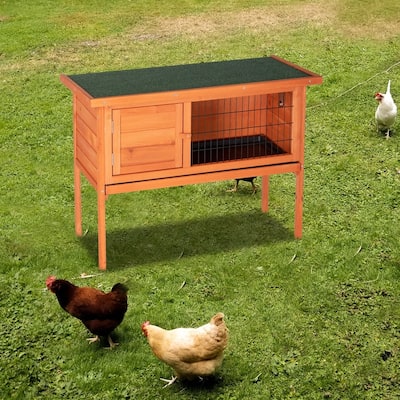 36" Single Deck Waterproof Wooden Chicken Coop - N/A