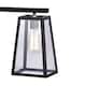 Antique Black 4-Light Linear Island Chandelier with Clear Glass shades