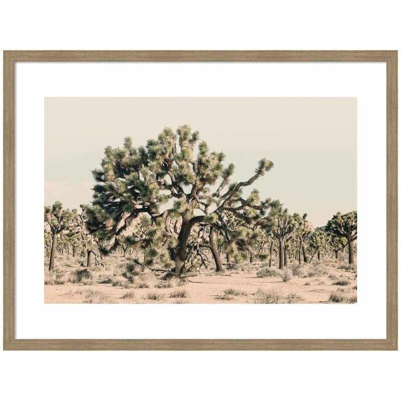 Kate and Laurel Joshua Tree No. 1 by Alicia Bock Framed Wall Art Print - 42 x 32 - Brown