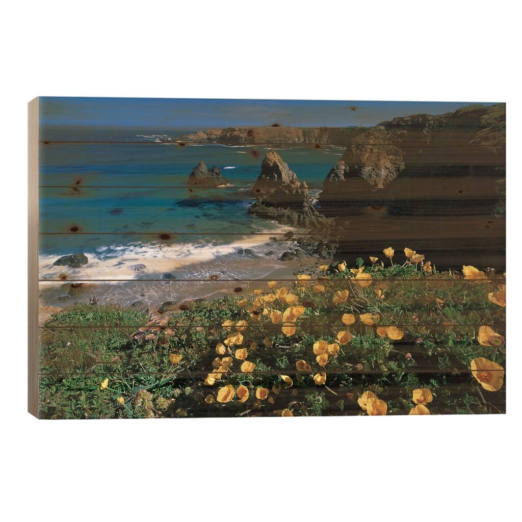 California Poppy Cluster Growing On Coastal Cliff, Jughandle State Reserve, California Print On Wood by Tim Fitzharris