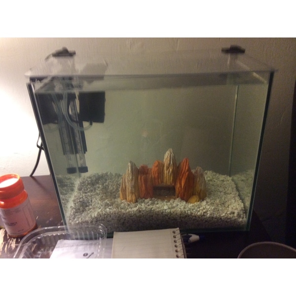 Pet Supplies Aquariums Fish & Aquatic Pets PennPlax Water World Radius