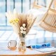 preview thumbnail 7 of 7, VECELO 51 pieces natural dry pampas grass decorations - 51 pieces