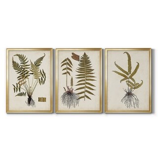 Fern Botanical IV Premium Framed Canvas - Ready to Hang - Multi-Color ...