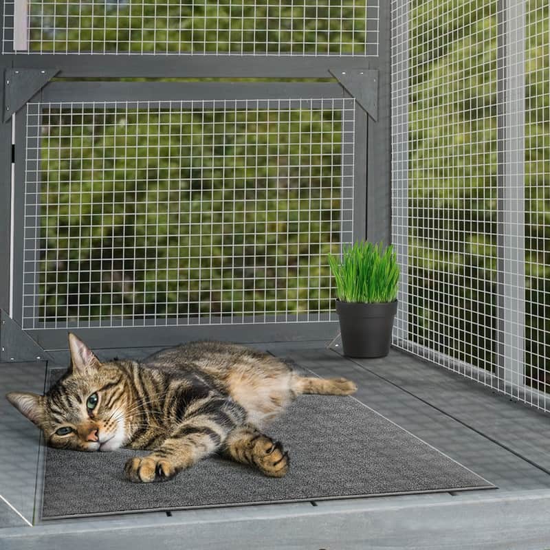 beeNbkks Cat Catio, Window Box Enclosure For Indoor Cats