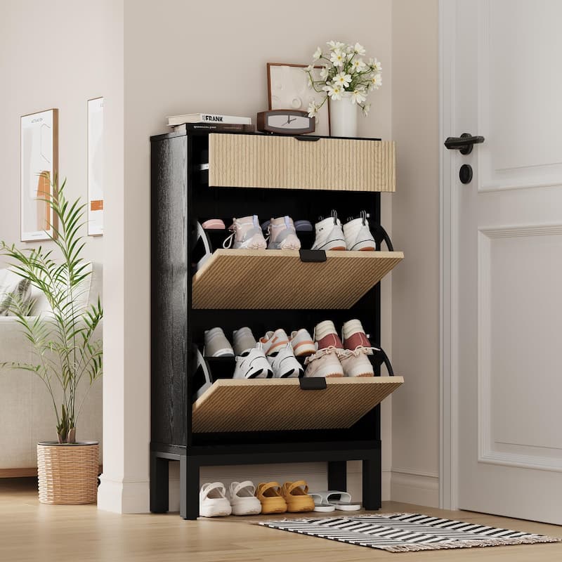 2-Drawer Slim Shoe Storage Cabinet with Flip Doors - Black