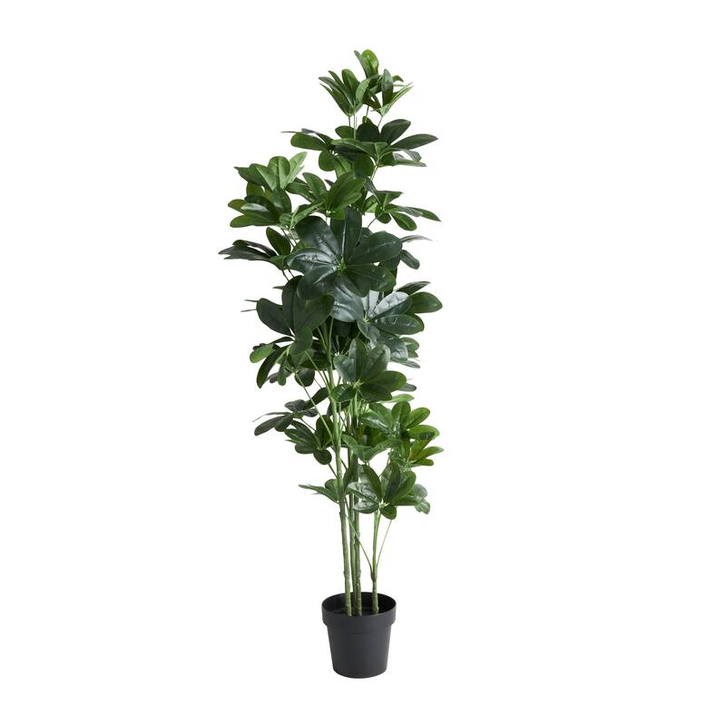 Faux Foliage Money Tree Tall Artificial Tree with Black Pot - Green - Roche River Decor - 24"W x 30"L x 63"H