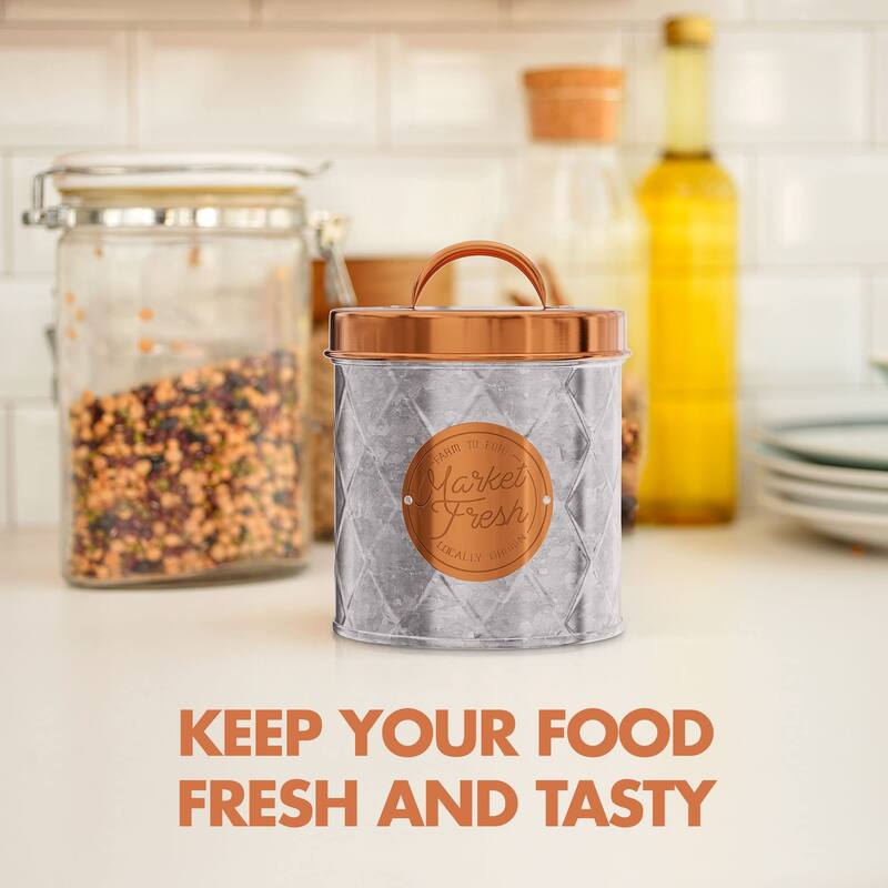 Amici Bristol Metal Canister Galvanized and Copper