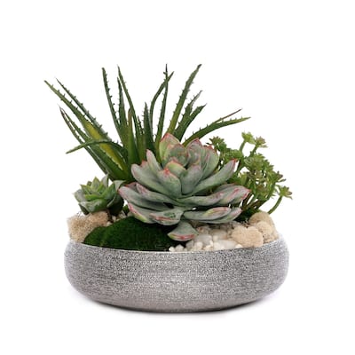 Succulent Arrangement with Pebbles and Moss in Silver Bowl