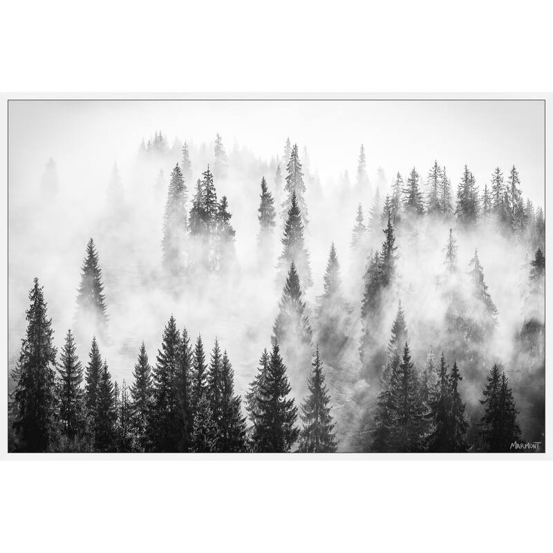 Lungs of the World Floater Framed Print on Canvas