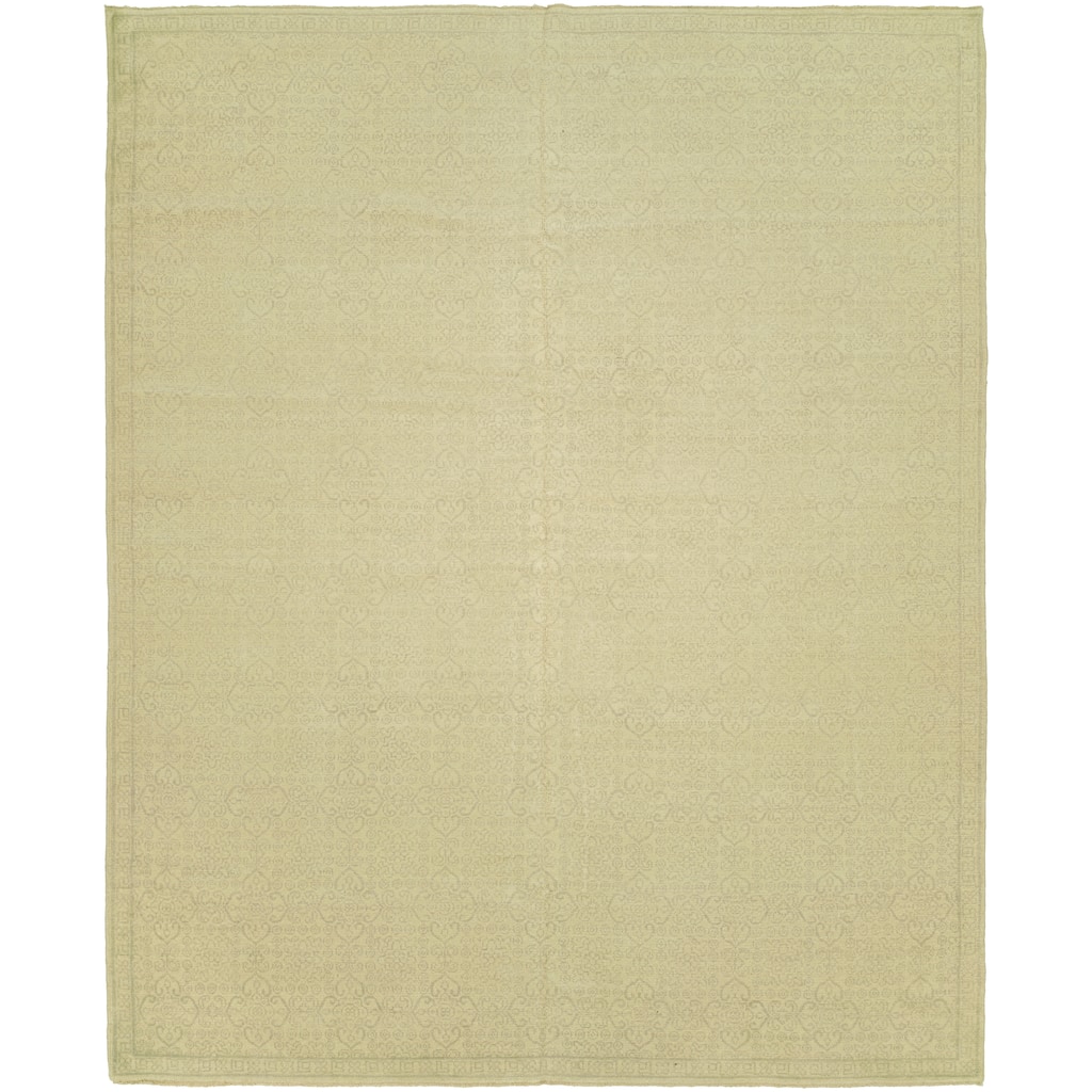 Transitional Beige Hand-Knotted WOOL Area Rug