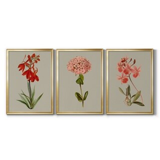 Botanical Array VII Premium Framed Canvas - Ready to Hang - Multi-Color ...