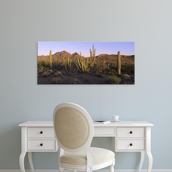 Easy Art Prints Panoramic Image 'Saguaro Cactus, Saguaro National Park, New Mexico, Arizona' Canvas Art