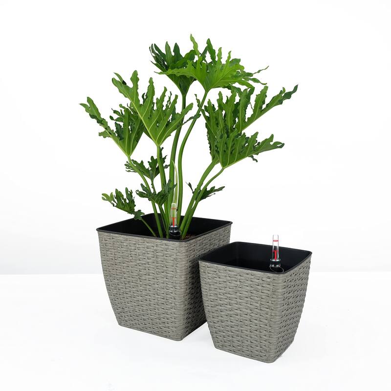 DTY Signature Square Wicker Planters - Gray - 10.2 in & 12.6 in