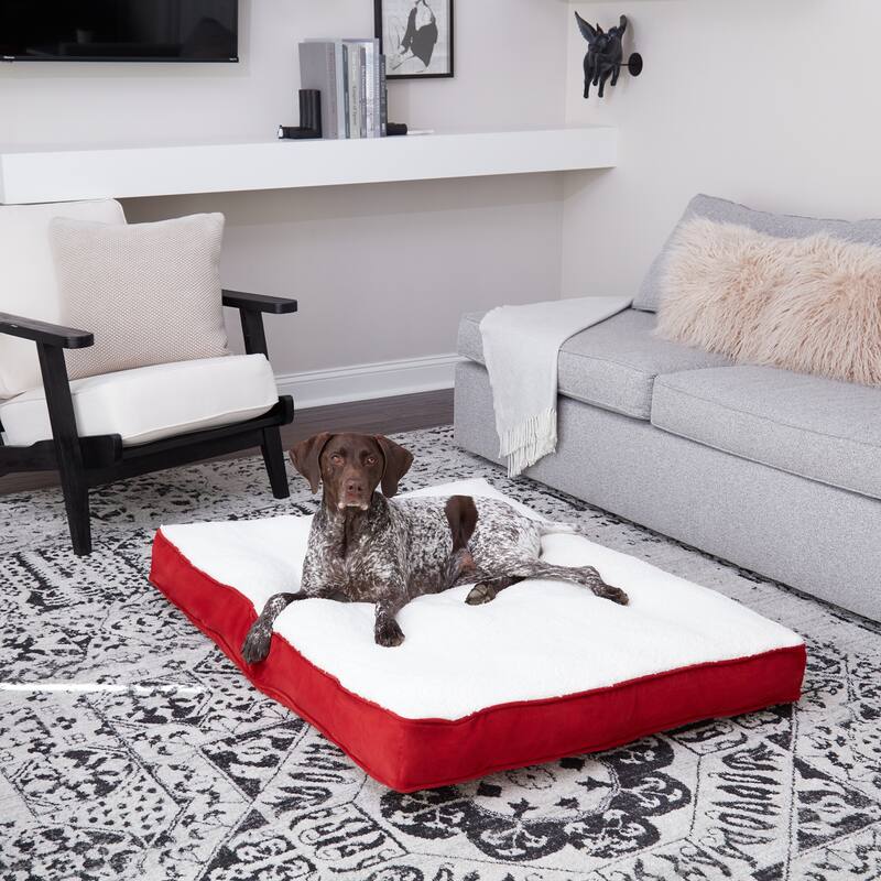 Daisy Deluxe Supportive Pillow Dog Bed