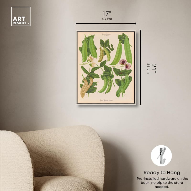 Podded Peas from Benary 1876 Canvas by Art Remedy
