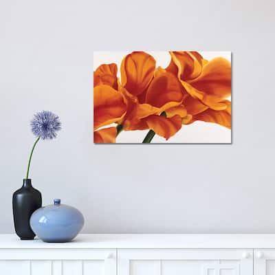 iCanvas "Fancy Flower II" by Yvonne Poelstra-Holzhaus Canvas Print