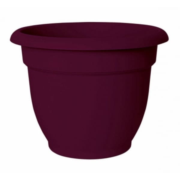 Bloem AP1229 Ariana Planter with Self-Watering Disc Insert, Passion Fruit, 12"