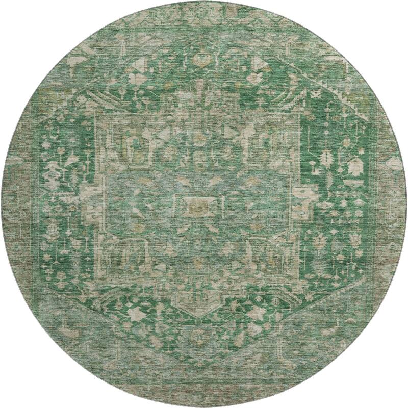 Premium Washable Super Soft Vintage Traditional Mayfield Rug