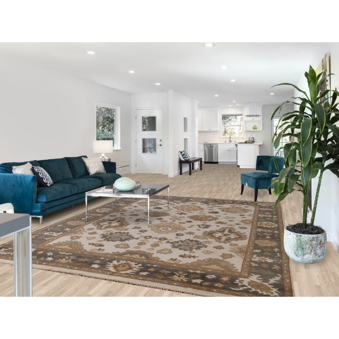 Ivory Oushak Indian Area Rug Hand-Knotted Transitional Wool Carpet - 8'0" x 9'11"