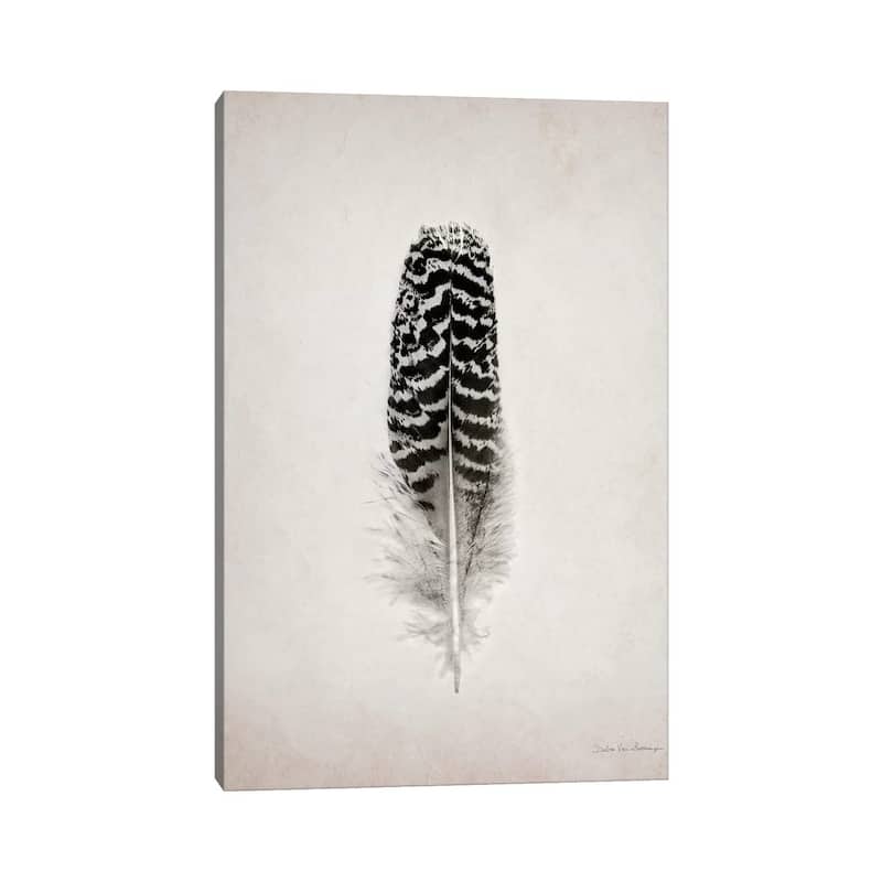 iCanvas "Feather I" by Debra Van Swearingen Canvas Print
