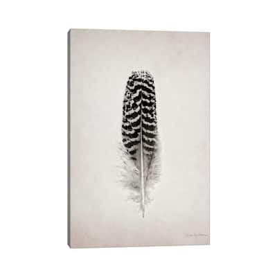 iCanvas "Feather I" by Debra Van Swearingen Canvas Print