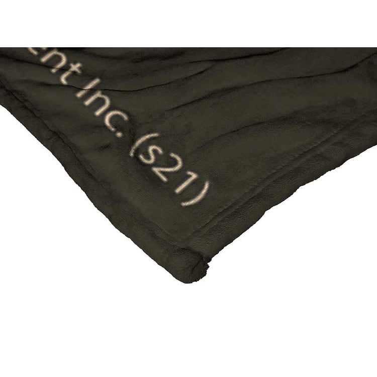 Warner Brothers Looney Tunes Silk Touch Throw Blanket