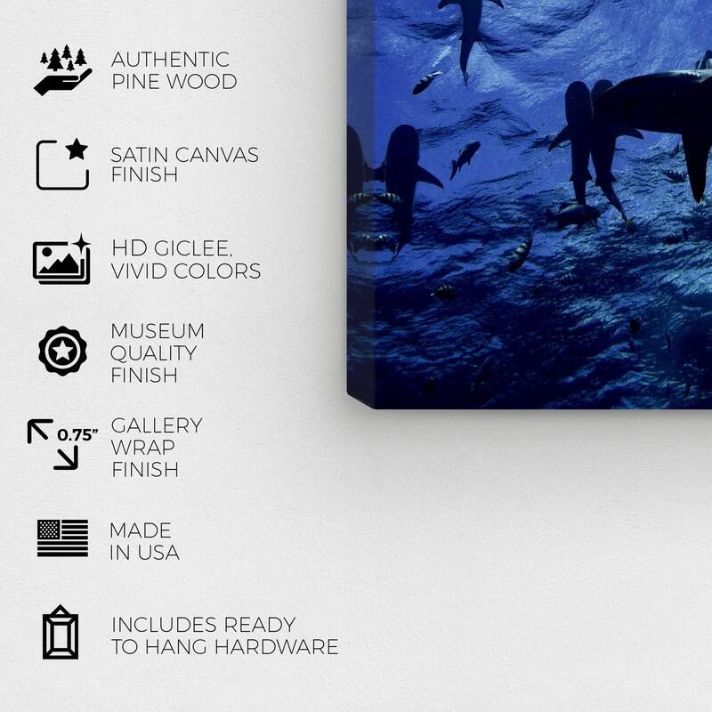 Wynwood Studio Canvas Animals David Fleetham - Blacktip Reef Shark II Blue and Nautical & Coastal Wall Art Canvas Print