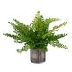 preview thumbnail 1 of 2, Uttermost 60237 Maidenhair Fern 14" Tall Metal Faux Flora Planter Oxidized Metal