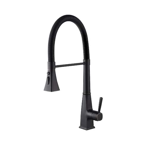 Pull Down Kitchen Faucet with Sprayer