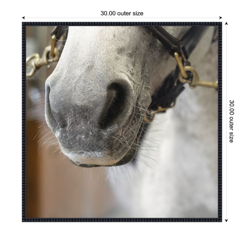 Kate and Laurel Barn Day Horse by Emiko and Mark Franzen F2 Images Framed Canvas Wall Art Print