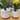6IN & 4.75 IN Rainbow Ceramic Footed Planter, SET OF 2